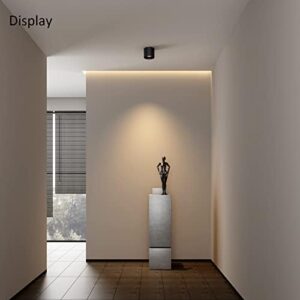 Ceiling Light Fixture, Flush Mount Ceiling Lights LED Dimmable Cylinder Ceiling Light Spot Light for Living Room Hallway Kitchen Dining Room Foyer 3000K 14.5W (Black) 2-Pack - Image 3