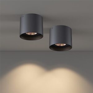 Ceiling Light Fixture, Flush Mount Ceiling Lights LED Dimmable Cylinder Ceiling Light Spot Light for Living Room Hallway Kitchen Dining Room Foyer 3000K 14.5W (Black) 2-Pack