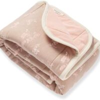 Burt's Bees Baby Newborn Essentials Reversible Quilt Blanket, 100% Organic Cotton Crib Blanket, 30 x 40 Inch