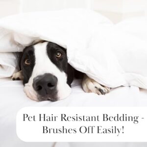 Southshore Fine Living, Inc. Oversized King Quilt Bedding Set, Soft Microfiber, Easy Care Stain and Pet Hair Resistant Bedding, California/King Size Quilt Coverlet Bedspread Set w/2 Shams, Dark Taupe - Image 4