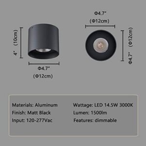Ceiling Light Fixture, Flush Mount Ceiling Lights LED Dimmable Cylinder Ceiling Light Spot Light for Living Room Hallway Kitchen Dining Room Foyer 3000K 14.5W (Black) 2-Pack - Image 6