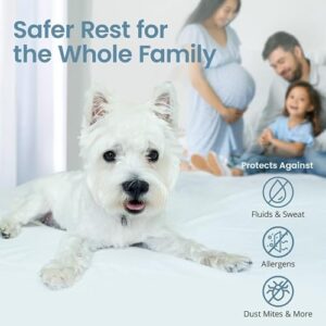 SafeRest 100% Waterproof King Size Mattress Protector - Fitted with Stretchable Pockets - Machine Washable Cotton Mattress Cover for Bed - Perfect Bedding Airbnb Essentials for Hosts - Image 6