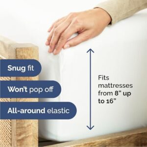 Queen 6 Piece Sheet Set - Comfy, Breathable & Cooling - Hotel Luxury Bedding for Women, Men, Kids & Teens - 1 Flat & 1 Fitted Sheet & 4 Pillowcases with Deep Pockets - Soft and Wrinkle Free - White - Image 3