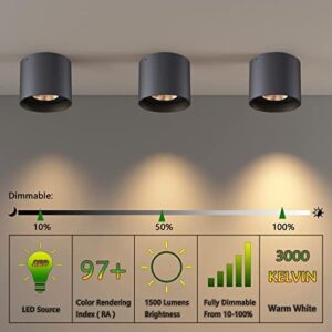 Ceiling Light Fixture, Flush Mount Ceiling Lights LED Dimmable Cylinder Ceiling Light Spot Light for Living Room Hallway Kitchen Dining Room Foyer 3000K 14.5W (Black) 2-Pack - Image 5