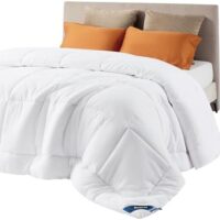 Bedsure Comforter Duvet Insert - Quilted Comforters Queen Size, All Season Duvet, GentleSoft™ Down Alternative Bedding, with 8 Tabs, Gifts for Women/Men, White, Queen 88 x 88 Inches