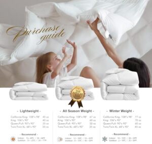Royoliving Premium Feathers Down Comforter 100% Cotton Cover Duvet Insert with Corner Tabs (White, Queen All Season) - Image 6