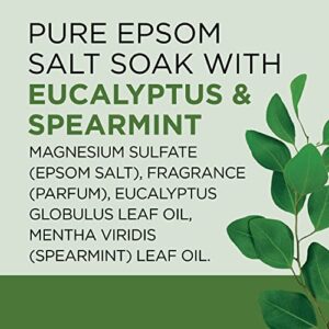 Dr Teal's Epsom Magnesium Salt Soak, Relax & Relief with Eucalyptus & Spearmint Essential Oils, 3 lbs - Image 10
