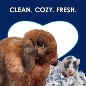 Kaytee Clean & Cozy Extreme Odor Control Bedding, Made for Small Animals, 40 Liters - Image 6
