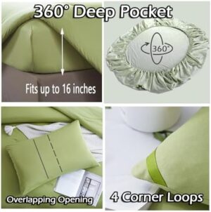 MorroMorn Green Comforter Set Queen Size, 4 Pieces All Season Bedding Sets, Soft Bed Set with 1 Down Alternative Duvet Insert 90×90 Inches, 2 Pillow Cases & 1 Fitted Sheet (Queen, Avocado Green) - Image 6