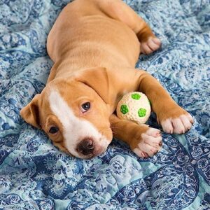 Comfort Spaces Reversible Quilt Set-Vermicelli Stitching Design All Season, Lightweight, Coverlet Bedspread Bedding, Matching Shams, Full/Queen (90 in x 90 in), Gloria Damask Aqua 3 Piece - Image 5