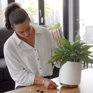 Slipstick GorillaPads CB147 Non Slip Furniture Pads/Gripper Feet (Set of 16) Self Adhesive Rubber Floor Protectors, 1 inch Round, Black - Image 8