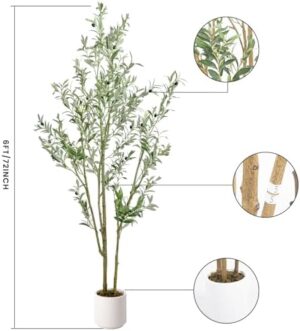 Artificial Fake Olive Tree 6FT Tall 1Pack with White Planter Faux Silk Olive Tree for Home Living Room Office Decor Faux Artificial Plants Indoor with Fruit & Free Moss - Image 2