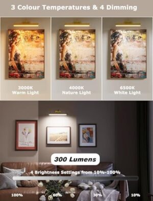Picture Light Battery Operated, 13in Wireless Art Light for Paintings, Dimmable 5000mAh Recharging Battery Picture Light with Remote Control for Wall, Gallery Dartboard Art Bedroom (Gold-2Pack) - Image 2