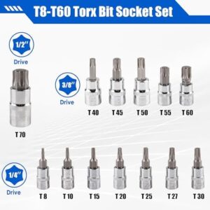 13-piece Torx Socket Set, T8-T60 Star Bits Kit with 1/4", 3/8", 1/2" Drive, S2 Steel & CR-V Construction, Built for Automotive, Furniture & Equipment Repair - Image 2