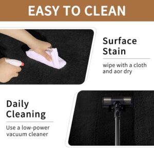 Sour Lemon 9x12 Area Rugs for Living Room, Soft Large Area Rug Fluffy Rugs for Bedroom，Machine Washable Area Rug Non Slip Carpet Rug for Living Room Playroom Kids Room Home Decor - Image 5