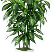 Artificial Dracaena Tree Indoor, 6FT Tall Fake Tree with White Tall Planter, Artificial Trees Fake Yucca Potted Tree for Home Office Living Room Decor,Tall Artificial Plant for Housewarming