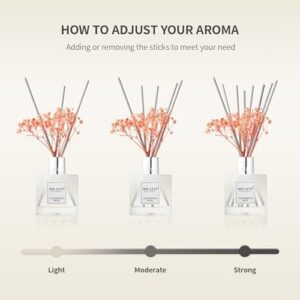 Airkeep Reed Diffuser Set,3.38 fl oz (100 ml) - Clean Linen Oil Diffusers with 8 Reed Sticks,Home Fragrance Reed Diffuser for Bathroom Shelf Decor - Image 8