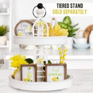 The Ultimate Farmhouse Tiered Tray Decor Set - Beautiful Year Round Seasonal & Holiday Decoration Bundle - The Perfect Lemon, 4th of July, Summer and Spring Centerpiece Design for Home & Kitchen Decor - Image 4