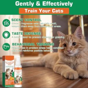 Cat Deterrent Spray, Natural Ingredients Cat Spray Deterrent for Cats and Kittens, Safe Cat Deterrent Indoor, Cat Urination Deterrent for Furniture Protection, Effective Cat Scratch Deterrent Training - Image 4