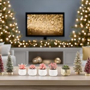 VIVERIE Mini Succulents Plants Artificial in Pots-Rose Pink, Christmas Small Fake Succulents Plants for Home Halloween Decor Indoor for Women, White Ceramic, Set of 4, Gifts for Mom - Image 9