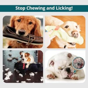 Bitter Apple Spray for Dogs to Stop Chewing and Licking, No Chew Spray for Dogs, Alcohol Free/Non-Toxic, Stop Licking Wounds and Hot Spots, Protecting Furniture, Shoes, Bandages, Indoor & Outdoor - Image 2