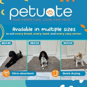 Pet 2-in-1 Dog Towel & Mat – Transforms from Drying to Bath Mat, Ultra Soft, Absorbent & Quick-Drying, Machine Washable Dog Towels with Detachable Non-Slip Mat and Hand Pockets (Small) - Image 2