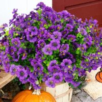Artificial Flowers for Outdoor, 20 Bundle UV Resistant Fake Silk Flowers, Realistic Faux Plants for Outside Indoor Porch Patio Window Box Planter Home Decor (Purple)