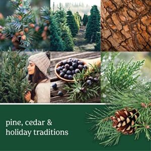 Yankee Candle Balsam & Cedar Scented, Classic Large 22oz Dual-Wick Tumbler Candle, Over 75 Hours Burn Time, Ideal for Holiday Season & Gifting - Image 2