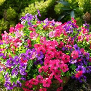 Artificial Flowers for Outdoor, 20 Bundle UV Resistant Fake Silk Flowers, Realistic Faux Plants for Outside Indoor Porch Patio Window Box Planter Home Decor (Purple) - Image 5