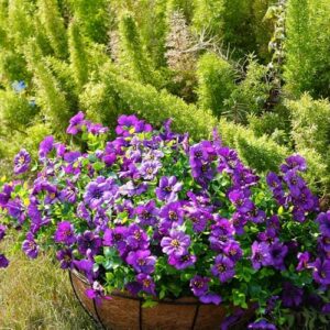 Artificial Flowers for Outdoor, 20 Bundle UV Resistant Fake Silk Flowers, Realistic Faux Plants for Outside Indoor Porch Patio Window Box Planter Home Decor (Purple) - Image 4
