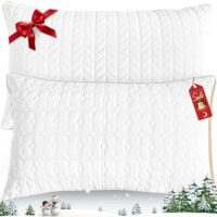 Cooling King Size Pillows Set of 2, Hotel Quality Bed Pillows for Side, Back, Stomach Sleepers, Ultra Soft Down Alternative Fill, Breathable Supportive Gusseted Pillow, Machine Washable