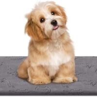 WOOMER Pet Heating Pad for Cats and Dogs, Includes Two Removable Covers, Heated Bed with Steel-Wrapped Cord, Waterproof and Chew-Resistant, 28”×18” Large Size for Larger Cats, Dogs and Rabbits