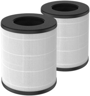 H13 True HEPA Replacement Filter Compatible with Tenergy Renair, Cool-Living CL-6070A, Beaba, Tredy TD-1300 HEPA Air Purifier for Home Large Room, 2 Packs