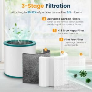 TP01 Air Purifier Filter Replacement for Dyson Tower Purifier Pure Cool Link TP02, TP03, AM11, BP01 Models, Compare to Part 968126-03 - Image 2