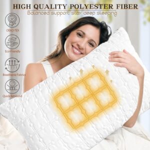 Cooling King Size Pillows Set of 2, Hotel Quality Bed Pillows for Side, Back, Stomach Sleepers, Ultra Soft Down Alternative Fill, Breathable Supportive Gusseted Pillow, Machine Washable - Image 3