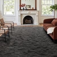 5x7 Ft Large Shag Area Rug, Ultra Soft Fluffy Furry Rugs for Living Room Bedroom Indoor Floor, Aesthetic Carpet for Kids Home Decor (Dark Grey)