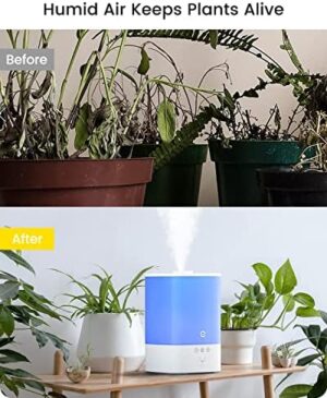 Humidifiers for Bedroom Large Room, Esemoil Smart WiFi Cool Mist Humidifiers for Baby, 3.5L Top Fill & 28dB Quiet, 40H Air Ultrasonic Diffuser with 8 Color Light, Voice Control, Compatible with Alexa - Image 7