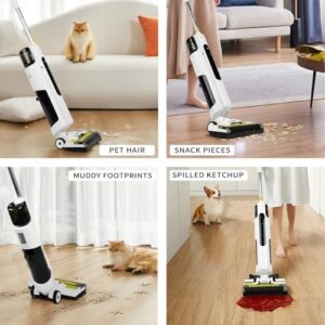 SWEEPBIRD C2 Cordless Wet Dry Vacuum Cleaner, Mop Vacuum Combo Cleaner for Hard Floor & Carpet, Self-Cleaning, Long Runtime, Lightweight, Great for Sticky Messes and Pet Hair - Image 7