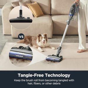 Eureka Corded Stick Vacuum Cleaner for Home Pet Hair, Lightweight Vacuum Cleaner with Powerful Suction for Carpet Tile and Hard Floor, Blue, NES520BL 2-in-1 Flash Handheld Vac - Image 2